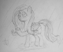 Size: 2238x1840 | Tagged: safe, derpibooru exclusive, fluttershy, pony, g4, female, frown, looking up, mare, pencil drawing, rain, saddle bag, signature, sketch, solo, traditional art, underhoof, wip
