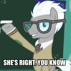 Size: 377x377 | Tagged: safe, edit, edited screencap, screencap, covalent bond, earth pony, pony, g4, the crystal empire, chalk, chalkboard, clothes, glasses, image macro, male, meme, necktie, shirt, smiling, solo, stallion, sweater