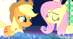 Size: 775x412 | Tagged: safe, screencap, applejack, fluttershy, earth pony, pegasus, pony, g4, season 8, sounds of silence, duo, eyes closed, female, map, mare, twilight's castle, youtube link