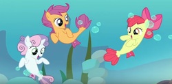 Size: 738x362 | Tagged: safe, screencap, apple bloom, scootaloo, sweetie belle, seapony (g4), g4, surf and/or turf, cutie mark crusaders, sea-mcs, seaponified, seapony apple bloom, seapony scootaloo, seapony sweetie belle, species swap, trio, underwater