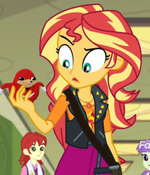 Size: 860x1000 | Tagged: safe, edit, edited screencap, screencap, nolan north, starlight, sunset shimmer, equestria girls, equestria girls specials, g4, my little pony equestria girls: better together, my little pony equestria girls: forgotten friendship, background human, cropped, crossover, discovery family logo, meme, overused meme, solo focus, sonic the hedgehog, sonic the hedgehog (series), sunset holding things, ugandan knuckles