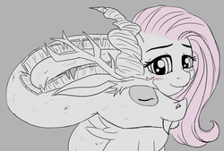 Size: 1182x799 | Tagged: safe, artist:erim-kawamori, discord, fluttershy, draconequus, pegasus, pony, g4, blushing, bust, female, male, mare, monochrome, partial color, ship:discoshy, shipping, simple background, smiling, straight