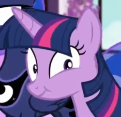 Size: 320x310 | Tagged: safe, screencap, princess luna, twilight sparkle, alicorn, pony, equestria girls, equestria girls specials, g4, my little pony equestria girls: better together, my little pony equestria girls: forgotten friendship, breaking the fourth wall, faic, looking at you, odd, odd expression, reaction image, she knows, smiling, solo focus, twilight sparkle (alicorn), wrong neighborhood