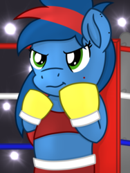 Size: 1200x1600 | Tagged: safe, artist:toyminator900, oc, oc only, oc:hay maker, earth pony, pony, semi-anthro, bipedal, boxing, boxing gloves, boxing ring, clothes, midriff, solo, sports, sports bra