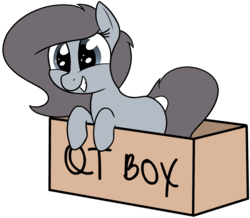 Size: 1836x1603 | Tagged: safe, artist:axlearts, oc, oc only, oc:delpone, earth pony, pony, box, female, pony in a box, simple background, smiling, solo, transparent background