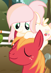Size: 342x488 | Tagged: safe, artist:pastelmlpdrawings, big macintosh, oc, oc:golden heart, earth pony, pegasus, pony, g4, base used, father and daughter, female, filly, golden heart riding big macintosh, male, offspring, parent:big macintosh, parent:fluttershy, parents:fluttermac, ponies riding ponies, pony hat, riding, stallion