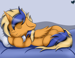 Size: 2200x1700 | Tagged: safe, artist:cloufy, oc, oc only, oc:wartex shine, bed, in bed, sleeping