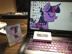 Size: 4032x3024 | Tagged: safe, sci-twi, twilight sparkle, alicorn, equestria girls, g4, clothes, computer, laptop computer, one-piece swimsuit, swimsuit, twilight sparkle (alicorn)