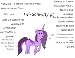 Size: 768x600 | Tagged: safe, artist:wonderschwifty, oc, oc:wonder sparkle, ideal gf, meme