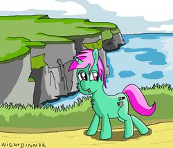 Size: 1400x1200 | Tagged: safe, artist:amateur-draw, oc, oc only, oc:belle boue, pony, unicorn, cliff, male, ms paint, ocean, scenery, solo, stallion