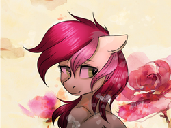 Size: 1600x1200 | Tagged: safe, artist:cottonaime, roseluck, earth pony, pony, g4, bust, female, looking back, portrait, smiling, solo