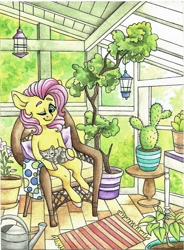 Size: 1192x1617 | Tagged: safe, artist:twixyamber, fluttershy, cat, pony, g4, cactus, chair, female, greenhouse, plant, solo, tree, watering can