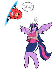 Size: 2085x2710 | Tagged: safe, artist:franschesco, twilight sparkle, alicorn, anthro, unguligrade anthro, g4, breasts, busty twilight sparkle, clothes, confused, crossed arms, crossover, exclamation point, female, high res, interrobang, male, mare, meme, portal, question mark, shirt, skirt, sonic the hedgehog, sonic the hedgehog (series), twilight sparkle (alicorn), ugandan knuckles