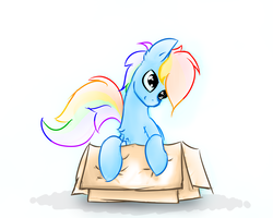 Size: 1280x1024 | Tagged: safe, artist:o0o-bittersweet-o0o, rainbow dash, pony, g4, box, colored sketch, female, pony in a box, sitting, sketch, smiling, solo
