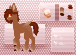 Size: 667x482 | Tagged: safe, artist:cappuccino coco, oc, oc only, oc:cappuccino coco, pegasus, pony, reference sheet