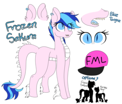 Size: 1024x874 | Tagged: safe, artist:tomboygirl45, oc, oc only, oc:frozen sakura, dracony, hybrid, female, reference sheet, simple background, solo, transparent background