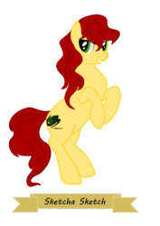 Size: 2067x2923 | Tagged: safe, artist:oceanbreezebrony, oc, oc only, oc:sketcha sketch, earth pony, pony, banner, female, high res, mare, show accurate, simple background, solo, transparent background, vector