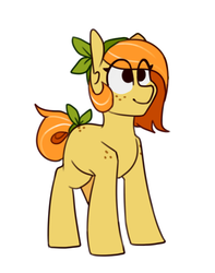 Size: 459x583 | Tagged: safe, artist:redxbacon, oc, oc only, oc:tangerine, pony, reference sheet, solo