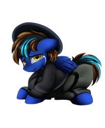 Size: 2300x2800 | Tagged: safe, artist:pridark, oc, oc only, pegasus, pony, clothes, commission, crying, hat, high res, looking at you, pants, simple background, solo, transparent background