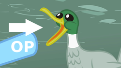 Size: 1280x720 | Tagged: safe, edit, edited screencap, screencap, rainbow dash, bird, duck, mallard, g4, may the best pet win, arrow, offscreen character, op, op is a duck (reaction image), open beak, pointing