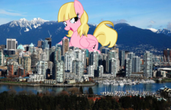 Size: 1600x1030 | Tagged: safe, oc, oc only, pegasus, pony, andrea libman, british columbia, canada, city, giant pony, highrise ponies, irl, macro, pegasus oc, photo, story included, vancouver, wings