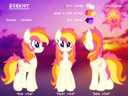 Size: 2732x2048 | Tagged: safe, artist:prismaticstars, oc, oc only, oc:sunkist, pegasus, pony, female, high res, mare, reference sheet, solo