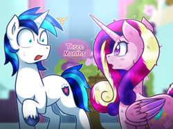 Size: 1067x800 | Tagged: safe, artist:vavacung, princess cadance, shining armor, alicorn, pony, unicorn, comic:misguided love, a canterlot wedding, g4, comic, duo, female, male, mare, messy mane, messy tail, pay what you want, scratches, stallion