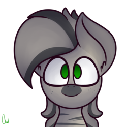 Size: 1000x1000 | Tagged: safe, artist:claudearts, oc, oc only, oc:xanadu, zebra, bust, cute, freckles, happy, simple background, solo, stripes, transparent background, zebra oc