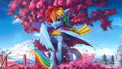 Size: 1920x1080 | Tagged: safe, artist:discordthege, rainbow dash, pegasus, pony, g4, backwards cutie mark, beautiful, building, cherry blossoms, clothes, cloud, detailed, female, flower, flower blossom, flower petals, japan, looking at you, mare, outdoors, petals, scarf, scenery, scenery porn, sky, smiling, smiling at you, solo, tree, wallpaper, wings