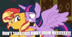 Size: 480x250 | Tagged: safe, edit, edited screencap, screencap, sunset shimmer, twilight sparkle, alicorn, pony, unicorn, equestria girls, equestria girls series, forgotten friendship, animated, caption, discovery family logo, female, that pony sure does love books, twilight sparkle (alicorn)