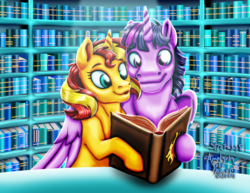 Size: 1024x791 | Tagged: safe, artist:amalgamzaku, artist:stratus35, color edit, edit, sunset shimmer, twilight sparkle, alicorn, pony, unicorn, g4, book, bookshelf, colored, dusk shine, female, half r63 shipping, hoof hold, hug, journal, library, male, mare, rule 63, ship:duskshimmer, ship:sunsetsparkle, shipping, signature, stallion, straight, twilight sparkle (alicorn), winghug