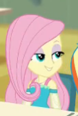 Size: 113x168 | Tagged: safe, screencap, fluttershy, rainbow dash, equestria girls, equestria girls series, forgotten friendship, g4, cropped, female, lidded eyes, picture for breezies