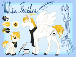 Size: 3850x2893 | Tagged: safe, artist:perle-de-suie, oc, oc only, oc:white feather, pegasus, pony, clothes, colored hooves, high res, jewelry, male, necklace, reference sheet, scarf, solo, spread wings, stallion, unshorn fetlocks, wings