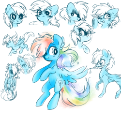 Size: 5000x5000 | Tagged: safe, artist:pinkablue, rainbow dash, pegasus, pony, g4, absurd resolution, blushing, bust, expressions, feather, female, flying, mare, mouth hold, simple background, white background