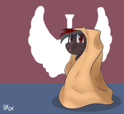 Size: 2500x2300 | Tagged: safe, artist:omegapex, oc, oc only, oc:soren nightsky, pegasus, pony, :p, blanket, blanket burrito, colored pupils, high res, male, signature, silly, simple background, solo, stallion, tongue out