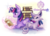 Size: 1024x731 | Tagged: safe, artist:animechristy, twilight sparkle, alicorn, espeon, pony, g4, book, crossover, female, glowing horn, horn, magic, pokémon, prone, reading, twilight sparkle (alicorn)