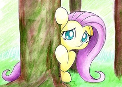 Size: 848x600 | Tagged: safe, artist:astevenamedwolf, fluttershy, pegasus, pony, g4, female, hiding, looking at you, peeking, sitting, solo, traditional art, tree