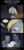 Size: 960x2000 | Tagged: safe, artist:terminuslucis, derpy hooves, oc, earth pony, pegasus, pony, unicorn, comic:adapting to night, comic:adapting to night: betrayal and loss, g4, armor, armored pony, captured, comic, dawn crusaders, dawn knight, death threat, female, forest, glowing horn, hair over one eye, horn, magic, magic aura, male, mare, rope, sad, stallion, sword, telekinesis, threat, tied up, tree, weapon, woobie