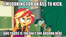 Size: 600x337 | Tagged: safe, edit, edited screencap, screencap, sunset shimmer, wallflower blush, equestria girls, equestria girls specials, g4, my little pony equestria girls: better together, my little pony equestria girls: forgotten friendship, angry, geode of empathy, image macro, magical geodes, meme, memeful.com