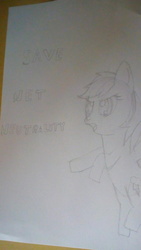 Size: 2160x3840 | Tagged: artist needed, safe, rainbow dash, g4, bipedal, high res, monochrome, net neutrality, traditional art