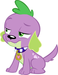 Size: 9174x11803 | Tagged: safe, artist:red4567, spike, spike the regular dog, dog, equestria girls, equestria girls specials, g4, my little pony equestria girls: better together, my little pony equestria girls: forgotten friendship, absurd resolution, collar, male, paws, simple background, sitting, solo, spike is not amused, spike's dog collar, transparent background, unamused, vector