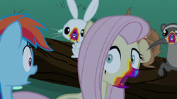 Size: 1280x720 | Tagged: safe, screencap, angel bunny, fluttershy, rainbow dash, ferret, pony, rabbit, 28 pranks later, g4, animal, cookie zombie, female, male, mare, open mouth, rainbow muzzle