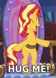 Size: 322x448 | Tagged: safe, edit, sunset shimmer, pony, unicorn, equestria girls, equestria girls specials, g4, my little pony equestria girls: better together, my little pony equestria girls: forgotten friendship, bipedal, bronybait, eyes closed, female, happy, hug request, image macro, meme, portal, strap, text, text edit, twilight's castle
