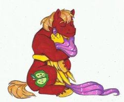 Size: 1024x843 | Tagged: safe, artist:stratus35, colorist:sapphireangelbunny, big macintosh, fluttershy, g4, colored sketch, eyes closed, female, hug, male, request, ship:fluttermac, shipping, straight