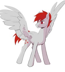 Size: 1000x1100 | Tagged: safe, artist:sapraitlond, oc, oc only, pegasus, pony, male, simple background, solo, spread wings, stallion, white background, wings