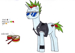 Size: 3480x2467 | Tagged: safe, artist:killerteddybear94, oc, oc:tom tom, pony, unicorn, clothes, high res, jacket, multicolored hair, punk, reference sheet, solo, sunglasses, traditional art, wristband