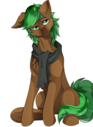 Size: 2800x3800 | Tagged: safe, artist:kuroran, oc, oc only, oc:jaeger sylva, pony, rcf community, clothes, high res, scarf, simple background, solo, transparent background, underhoof