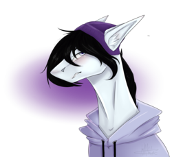 Size: 3400x3116 | Tagged: safe, artist:lastaimin, oc, oc only, pony, bust, clothes, high res, hoodie, male, portrait, simple background, solo, stallion, transparent background
