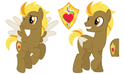 Size: 1600x957 | Tagged: safe, artist:missbramblemele, oc, oc only, oc:valiant heart, pegasus, pony, male, reference sheet, simple background, solo, stallion, transparent background