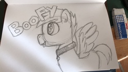 Size: 1280x720 | Tagged: safe, artist:kupoponyblog, artist:monkeytsu, oc, oc only, oc:slipstream, boofy, collar, colt, cute, male, solo, traditional art